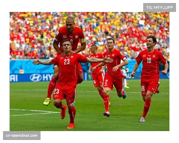 瑞士与瑞典交锋 北欧球队已获附加赛资格